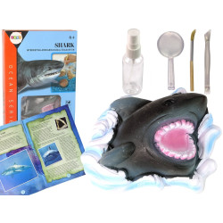 Shark Fossil Dig Kit: Utforsk ammonitthemmeligheter og lær haier