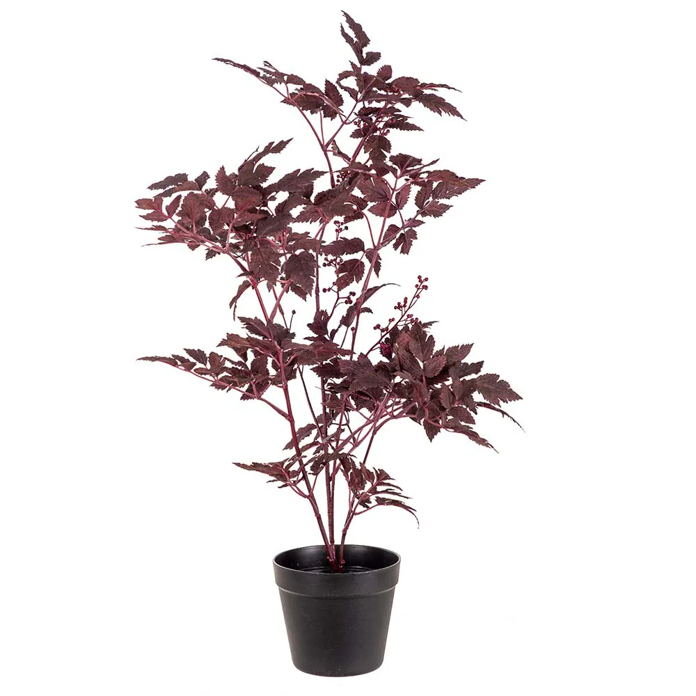 Mr Plant, Silverax Krukväxt 75 cm