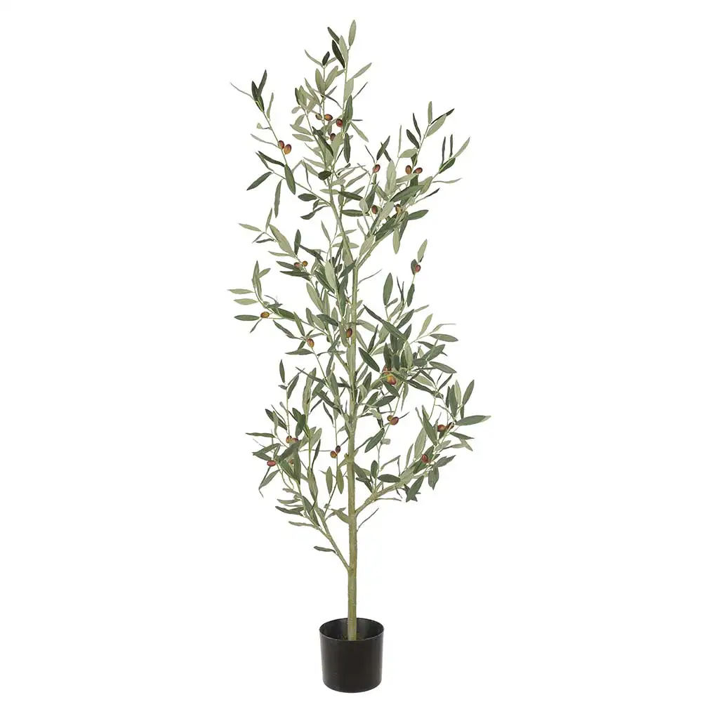 Mr Plant, Olivträd 140 cm Grön