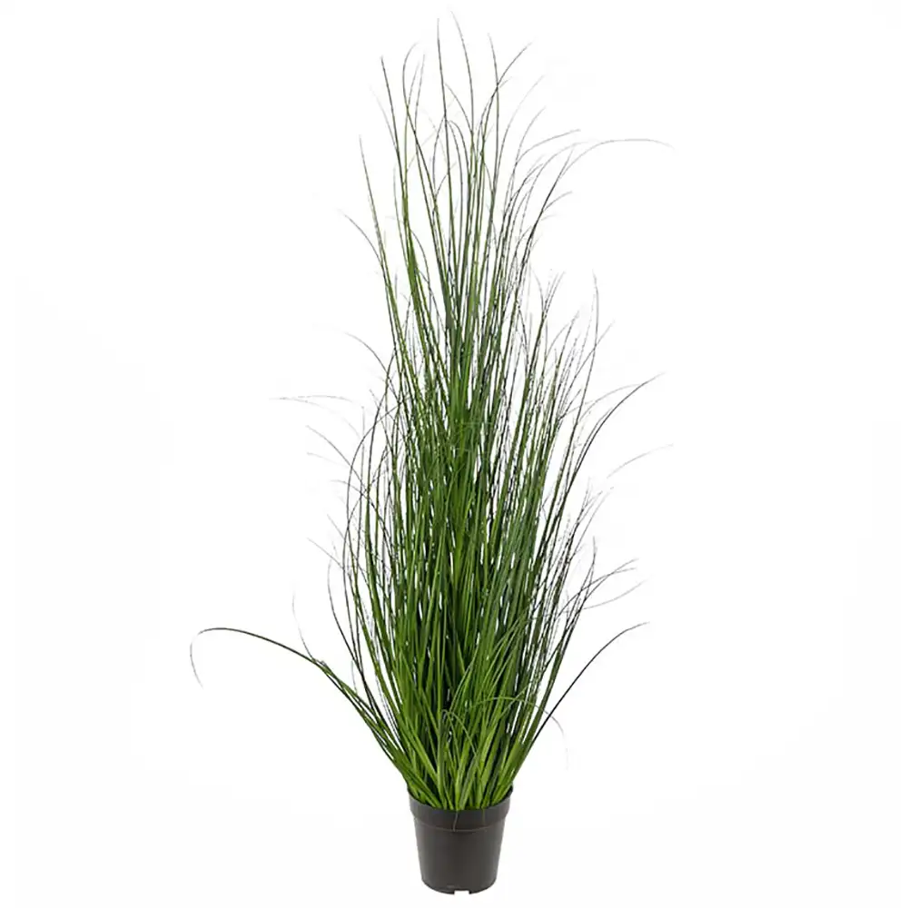 Mr Plant, Gräs 110 cm