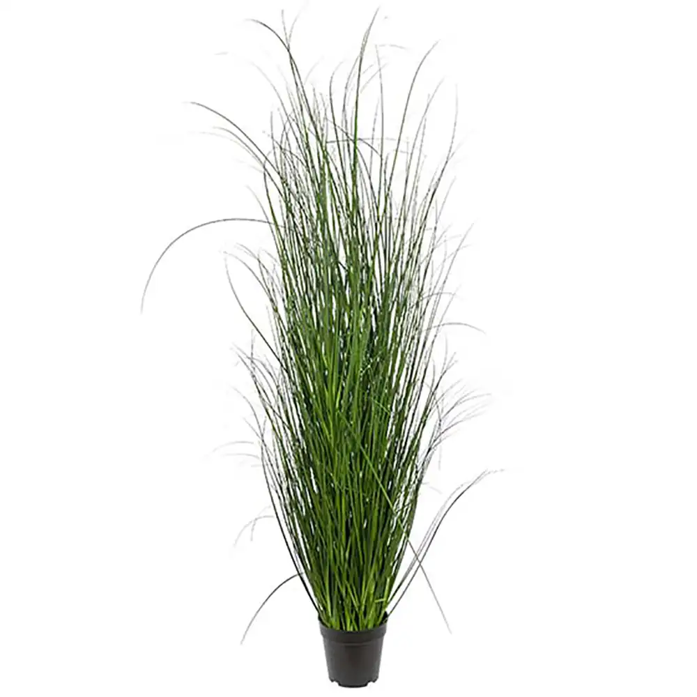 Mr Plant, Gräs 140 cm