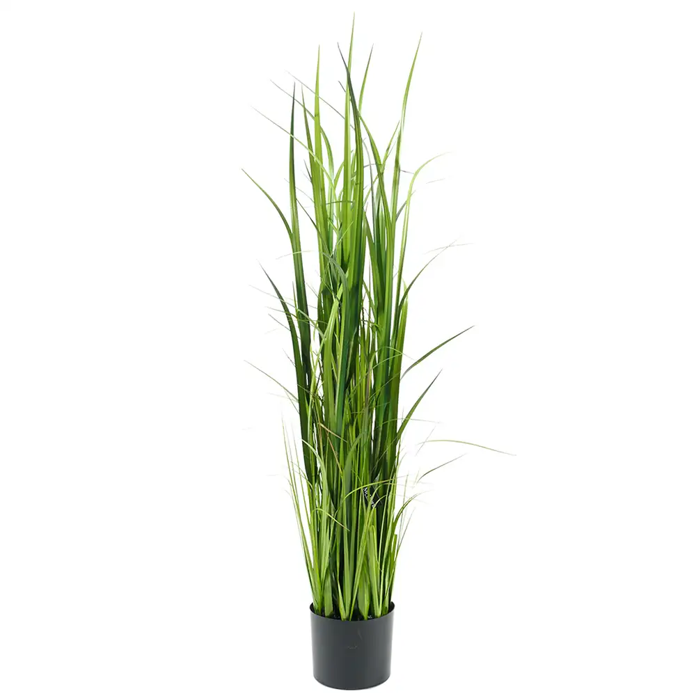 Mr Plant, Gräs 135 cm