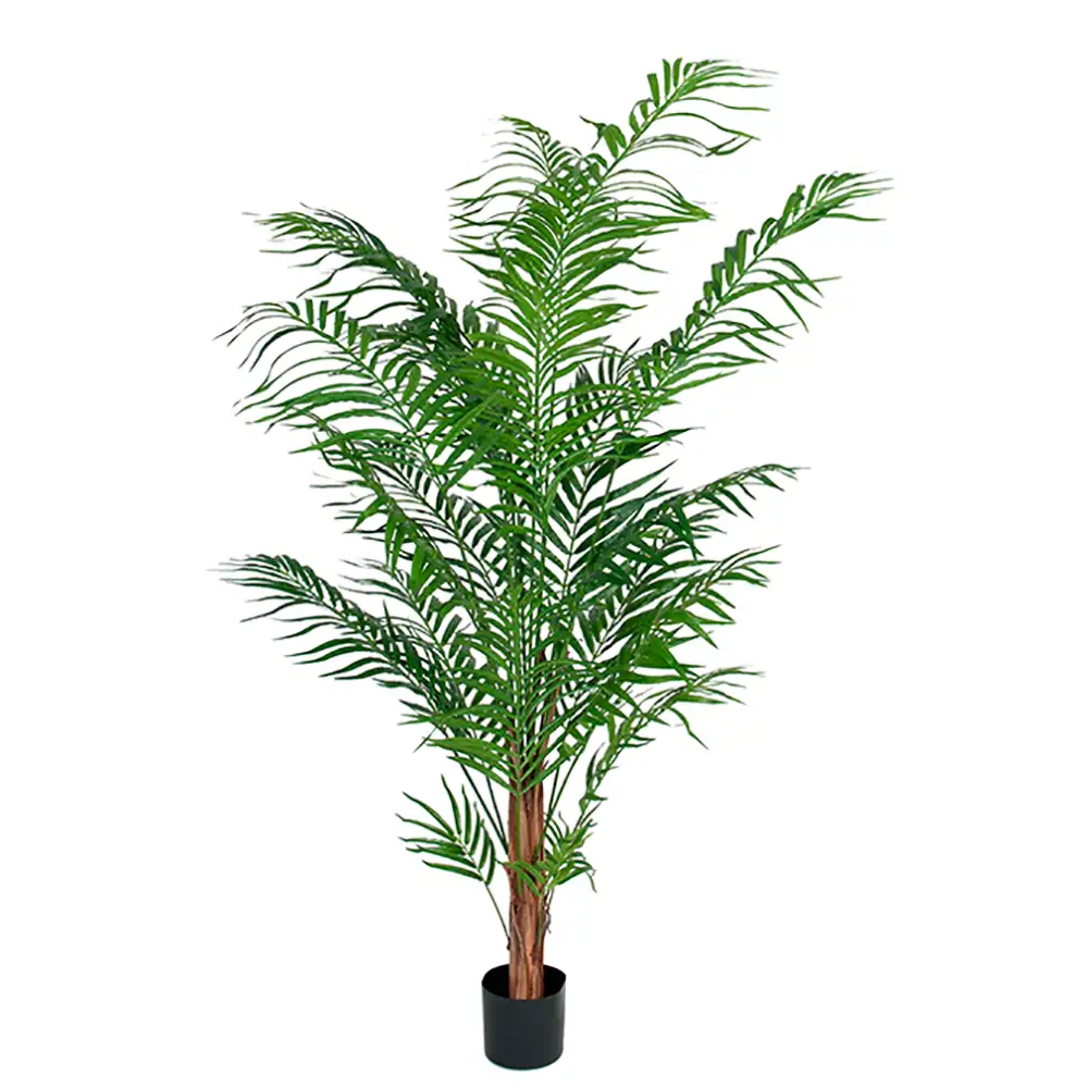 Mr Plant, Areca Palm 120 cm