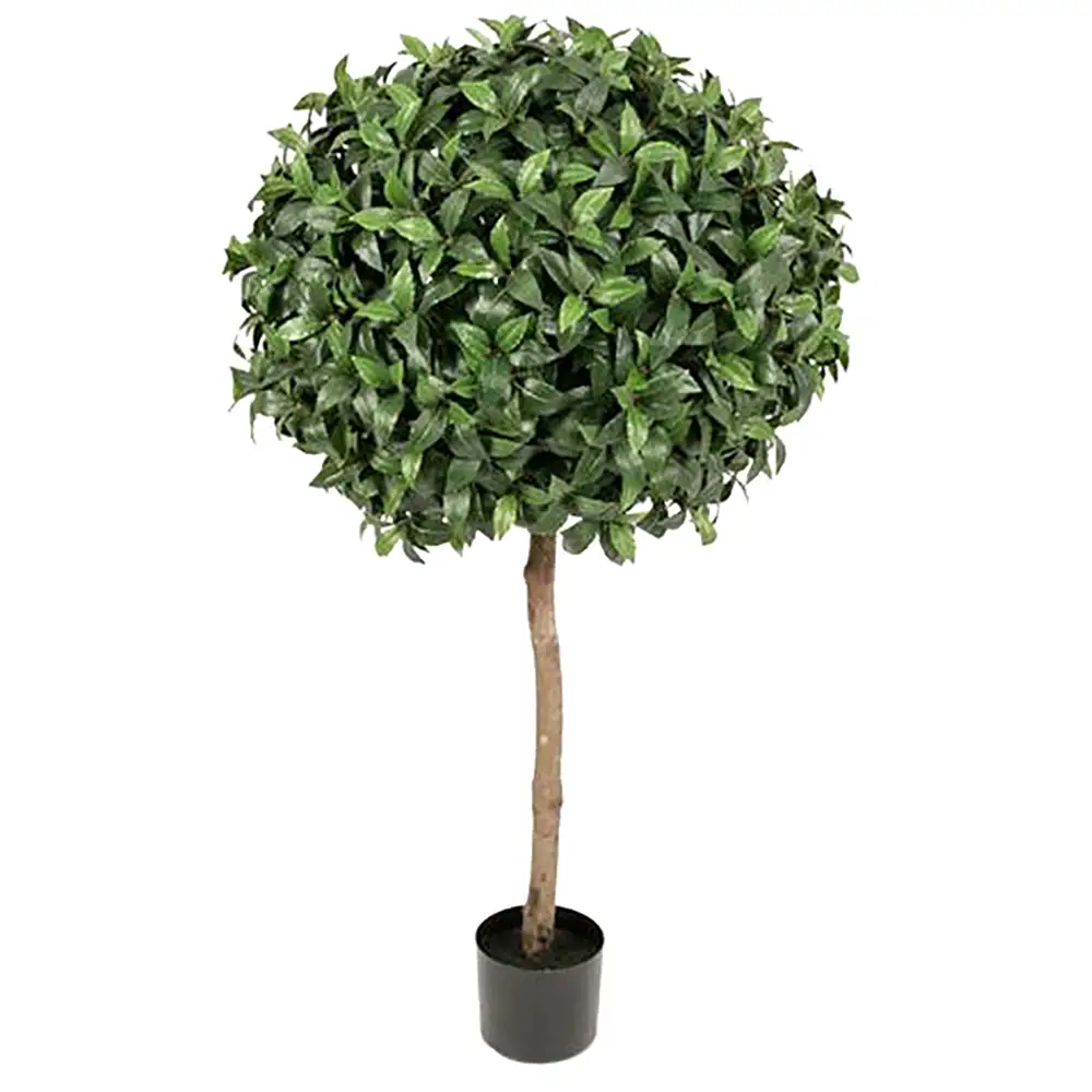 Mr Plant, Lager 135 cm