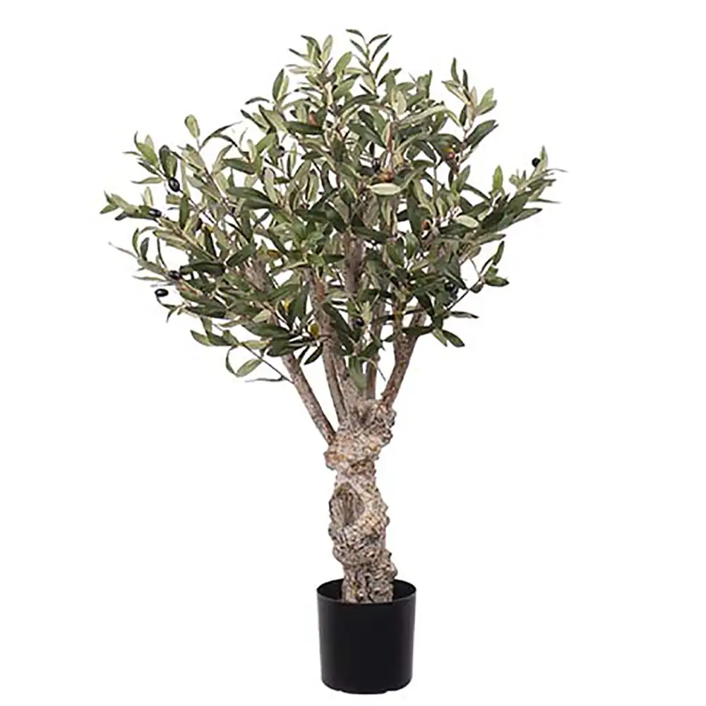 Mr Plant, Olivträd 80 cm