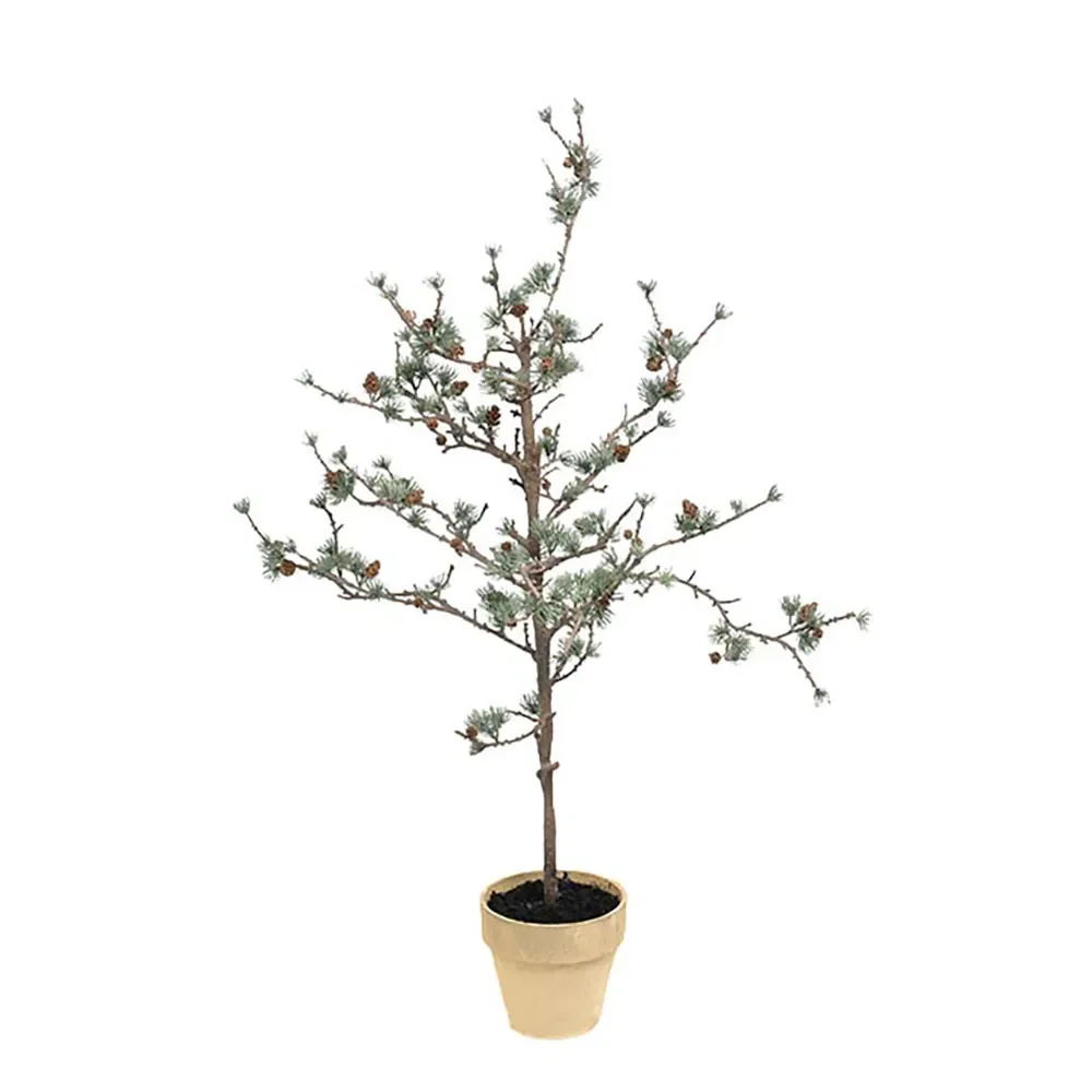 Mr Plant, Lärkträd 100 cm