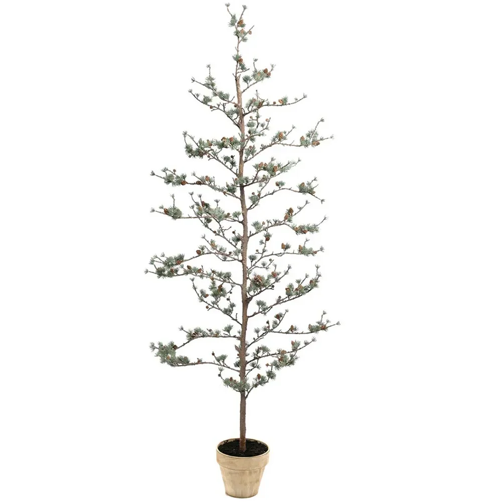 Mr Plant, Lärkträd 180 cm