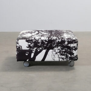 Pedro fotpall svart / vit