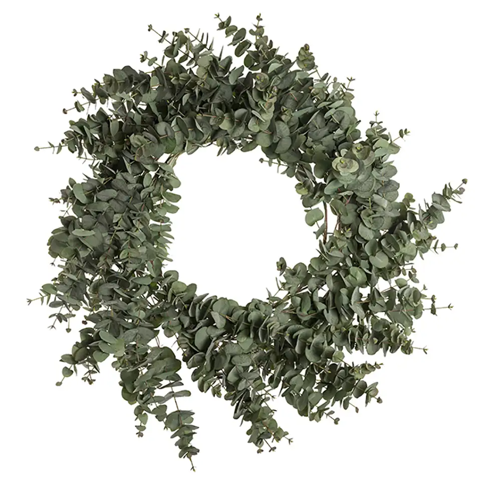 Mr Plant, Eucalyptus krans 100 cm