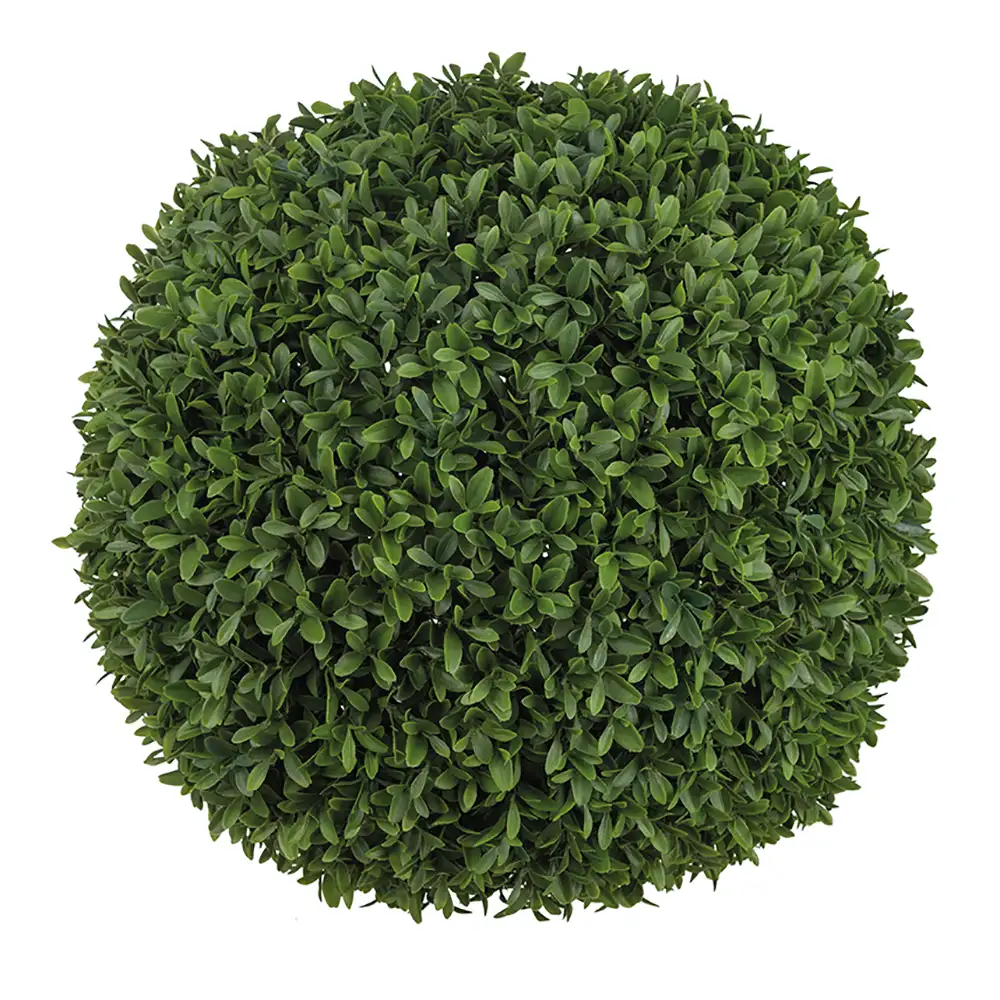Mr Plant, Buxbom Boll Grön 50 cm