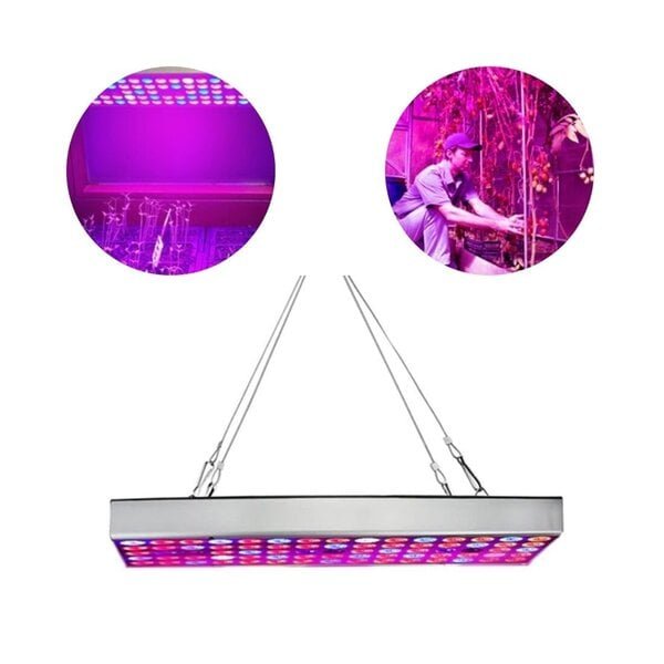225 LED-lamppu/paneeli kasvien kasvuun