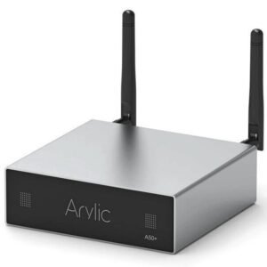 Arylic A50+