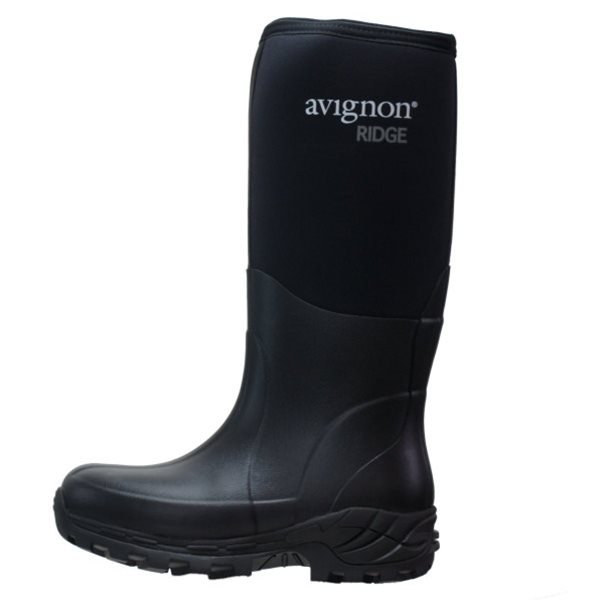 Avignon Ridge High