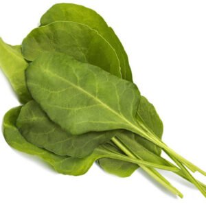 Click&Grow Smart Garden -täyte Lehtijuurikkaat 3kpl