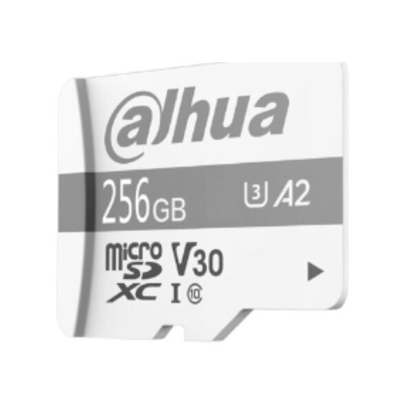 Dahua P100, SSD, 256 Gt
