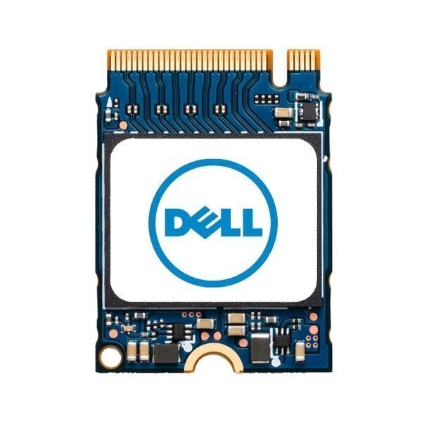 DELL M.2 PCIE NVME GEN 3X4 CLASS 35 2230 SOLID STATE Drive - 256 Gt