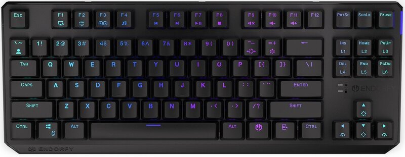 Endorfy Thock TKL