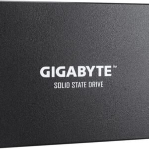 Gigabyte GP-GSTFS31480GNTD
