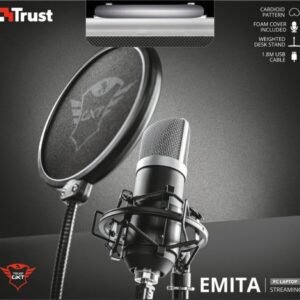 GXT 252 EMITA/21753 TRUST mikkeri