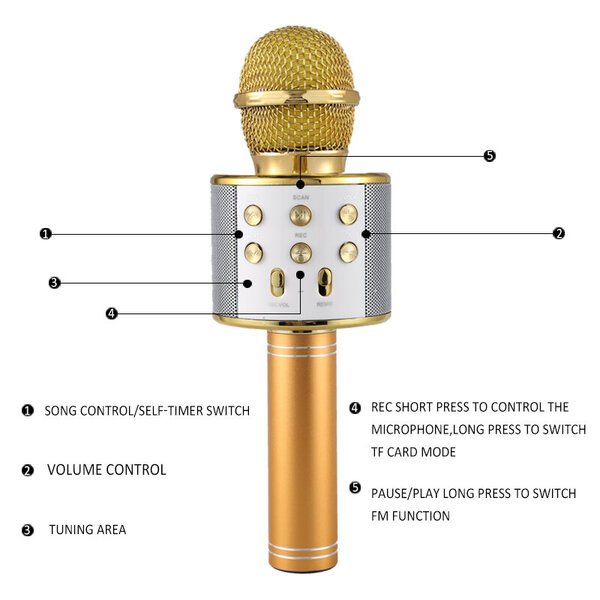 Karaoke mikrofoni Royal Song WS-858