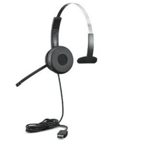 Lenovo 100 Mono