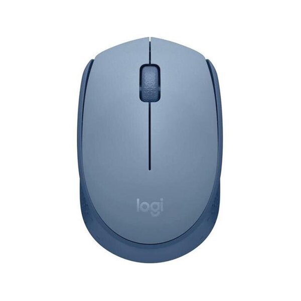 Logitech M171