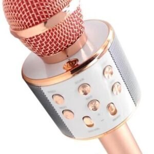 Mikrofoni Royal Song WS-858.