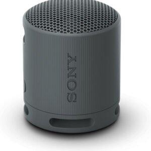 Sony SRS-XB100 Black