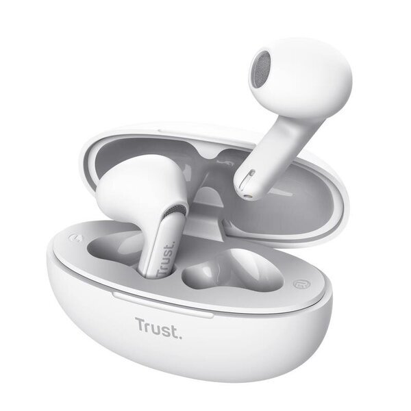 Trust 25173