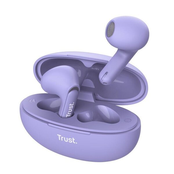 Trust 25299