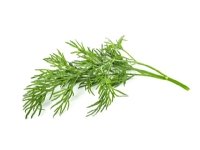 Click & Grow SGR49x3, Syötävä kasvi, Tilli, Täyttöpakkaus, Kasvaa nopeasti (3–5 viikkoa), 7 - 14 päivää, 1 - 2 kuukautta