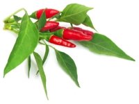 Click & Grow PIRI PIRI CHILI, Syötävä kasvi, Chili, Täyttöpakkaus, Kasvaa hitaasti (8–12 viikkoa), 7 - 21 päivää, 5 kuukautta