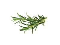 Click & Grow SGR51x3, Syötävä kasvi, Täyttöpakkaus, Kasvaa nopeasti (3–5 viikkoa), 14 - 21 päivää, 18 - 30 °C, 3 kpl