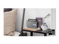 Panasonic RF-D30BTEG, Kannettava, Digitaalinen, FM, 2 W, 1-suuntainen, 10 cm