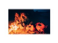Philips TAS2505B/00, 4,45 cm, 3 W, Langaton, A2DP, AVRCP, 20 m, Kannettava monokaiutin