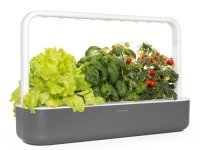 Click & Grow Smart Garden 9, LED, 9 lamppua