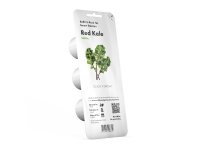Click & Grow 4742793008752, Syötävä kasvi, Red kale, Aloituspakkaus, 3 kpl, Laatikko