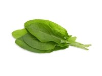 Click & Grow SGR55x3, Syötävä kasvi, Täyttöpakkaus, Kasvaa nopeasti (3–5 viikkoa), 7 - 14 päivää, 2 kuukautta, 18 - 24 °C