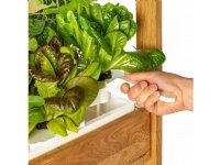 Click and Grow 25 - Black (Salad Greens 54x pack)