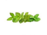 Click &amp  Grow siemenet Smart Pot - rauhoittava teesekoitus (PPMCTX9) 9kpl.