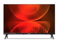Sharp 24FH2EA, 61 cm (24), 1366 x 766 pixels, LED, Smart TV, Wi-Fi, Black