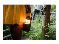 Pure Woodland Glow vedenpitävä ulkokaiutin LED-valaisimella, vihreä