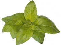 Click And Grow Click &amp  Grow siemenet smart pottiin - Lemon Basil (SGR100X3) 3kpl.