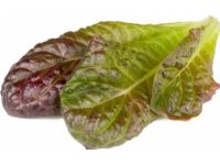 Click And Grow Click &amp  Grow siemenet Smart Pot - Punainen roomansalaatti, 3kpl.
