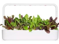 Click And Grow Click &amp  Grow siemenet smart pottiin - Mangolds (Rainbow Chard), 3kpl.