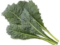 Click &amp  Grow Smart Refill Italian Kale 3kpl