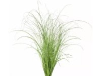 Kasvikapseli Click &amp  Grow Kasvikapseli 3-pack, koristeelliset nurmikot