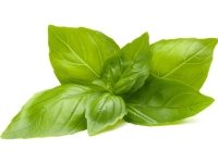 Click And Grow Click &amp  Grow siemenet smart pottiin - Basilika Lemon, 3kpl.