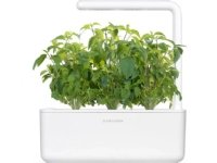 Click &amp  Grow Seeds for Smart Pot - Taiwanilainen basilika (SGR37X3) 3kpl.