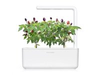 Click and Grow Smart Garden 9-osainen täydennyspakkaus - violetti chilipaprika sisäkasvatukseen, sisältää runsaasti vitamiineja ja antioksidantteja